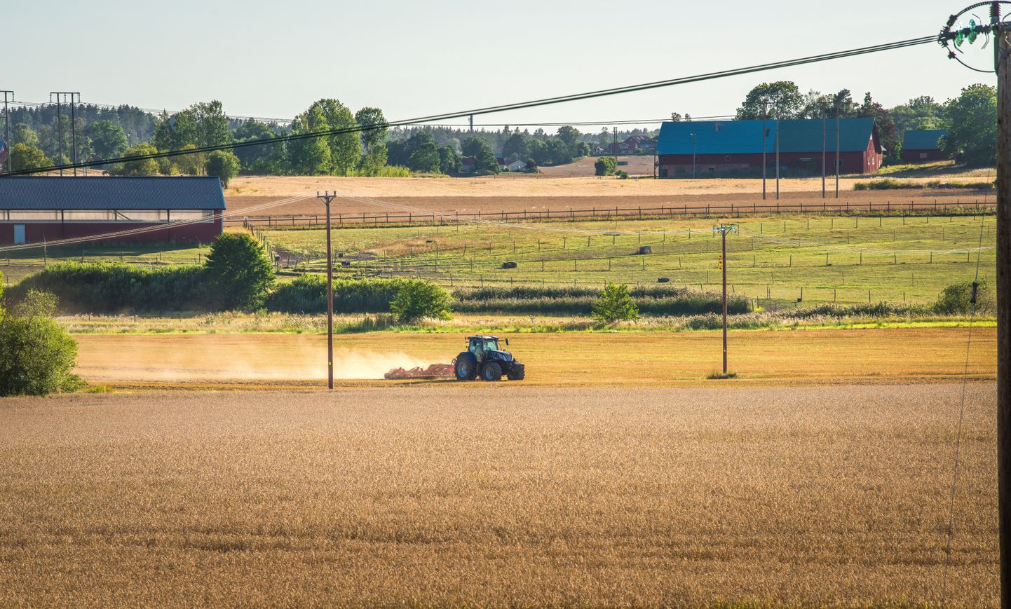 Traktor Rootsis Ojamaal põllul.  Foto on tehtud augustis 2022