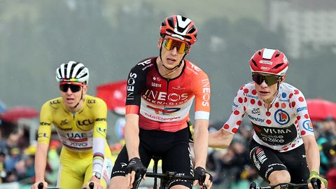 Pogačar kindlustas haigestunud veiste tõttu lühendatud Touri etapil liidrisärki