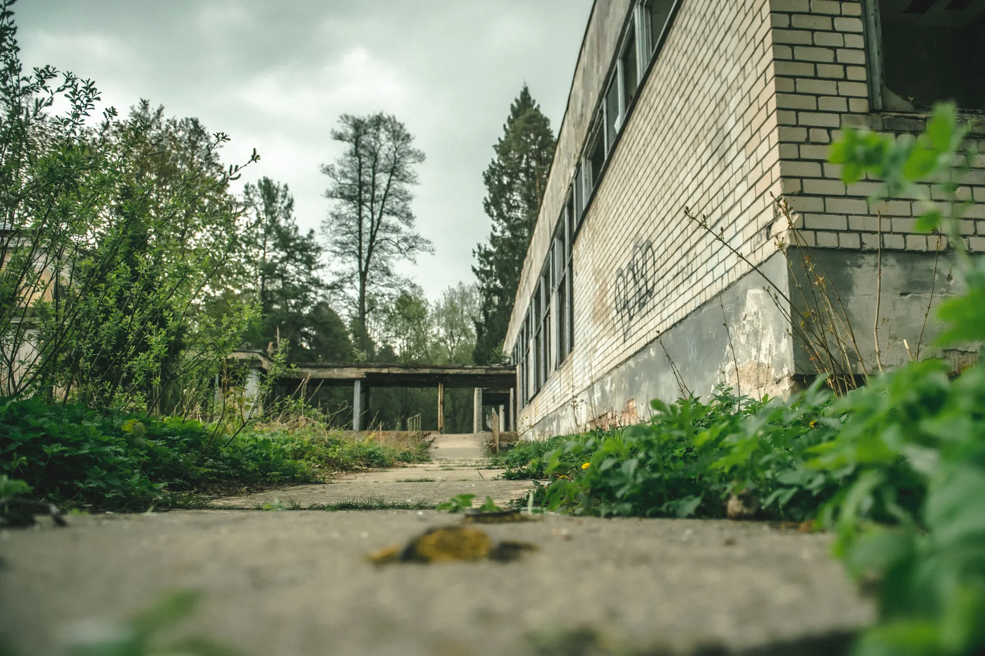 Фото статьи