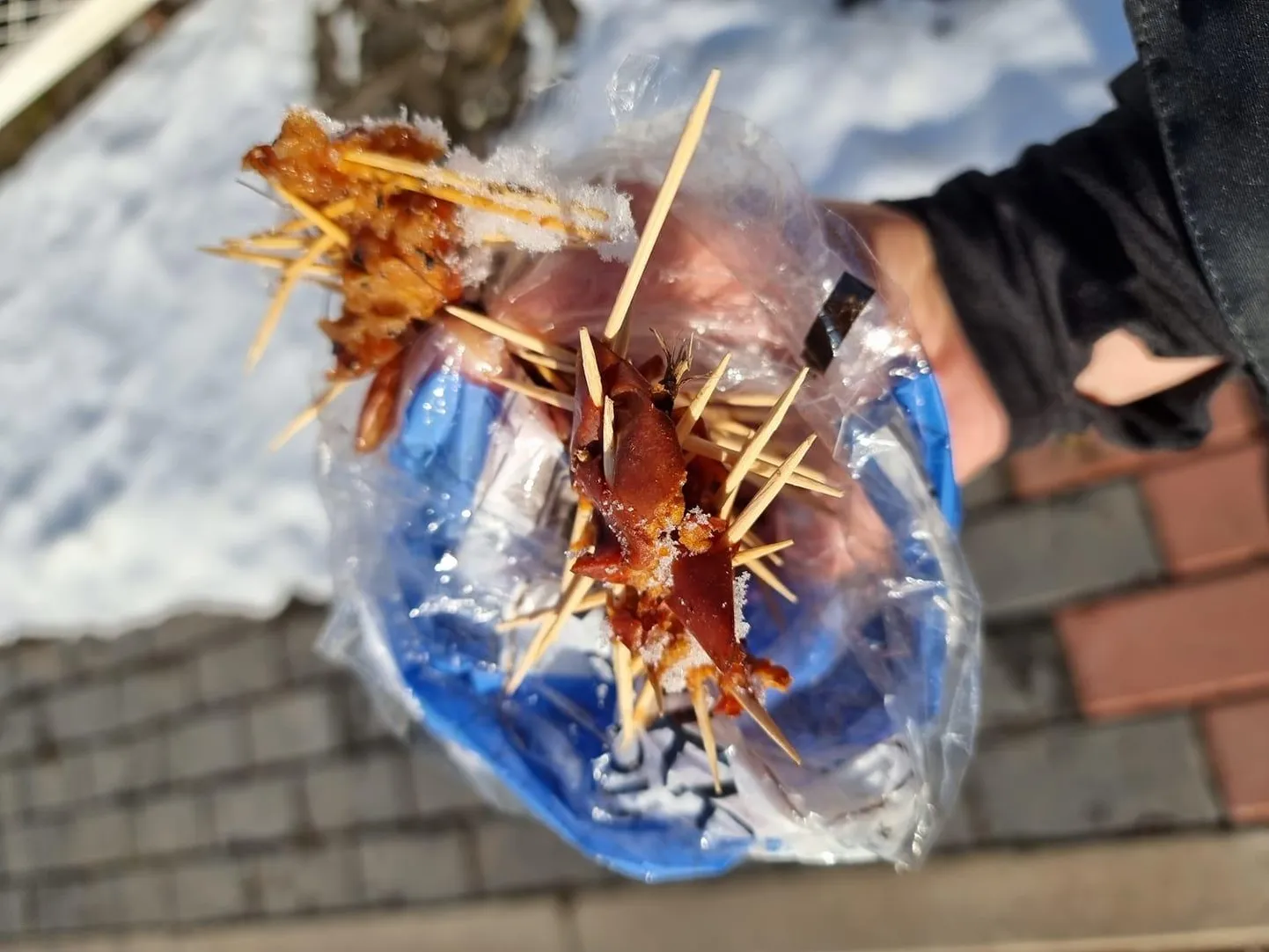 Смесь еды и зубочисток.