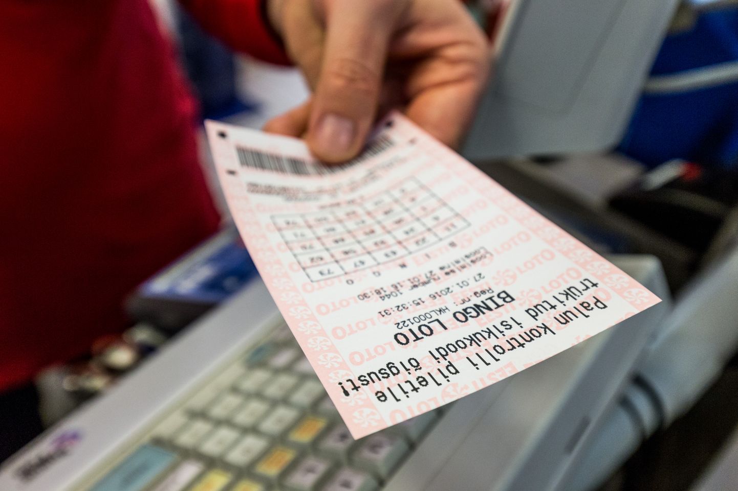 Лотерейный билет Bingo Loto