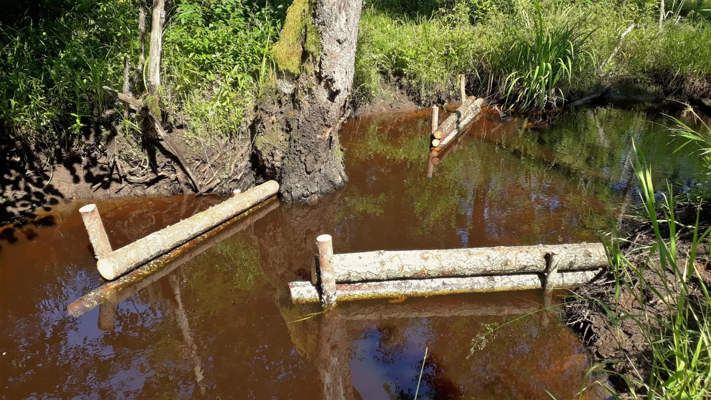 Jõesängi seatakse voolusuunajad.