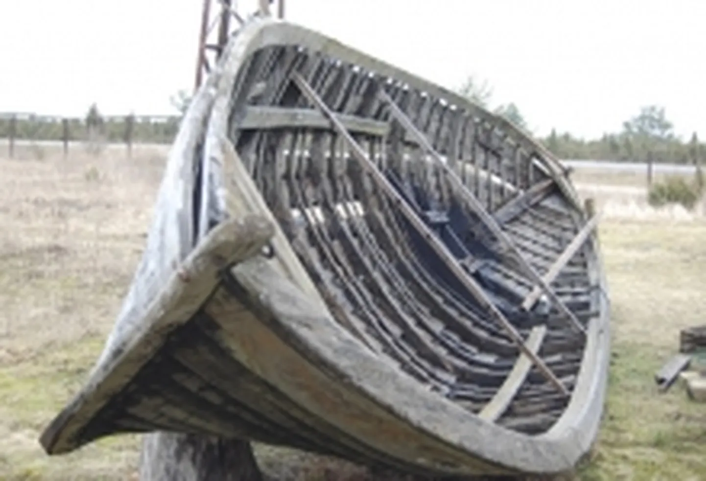 Artikli foto