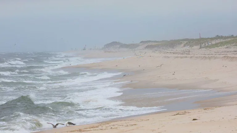 В 2010-2011 годах на пляже Гилго-бич нашли останки 11 человек