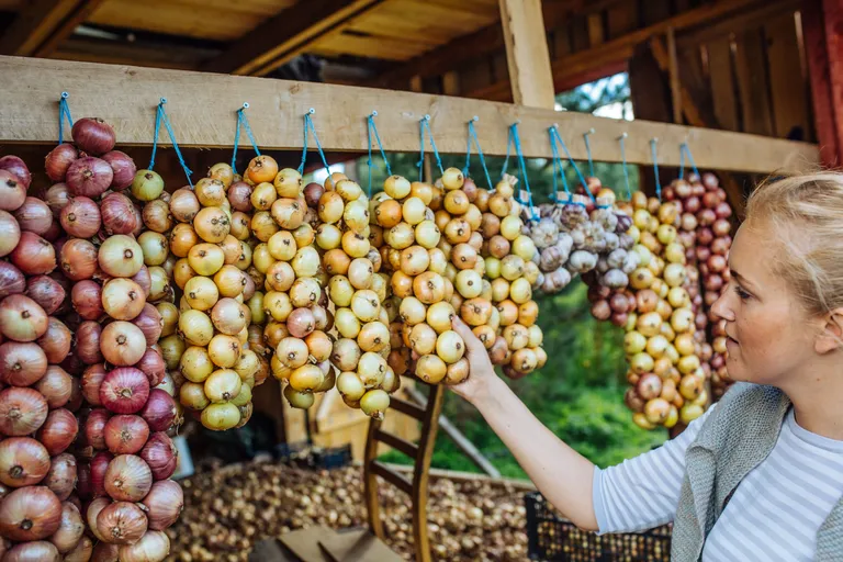 Artikli foto