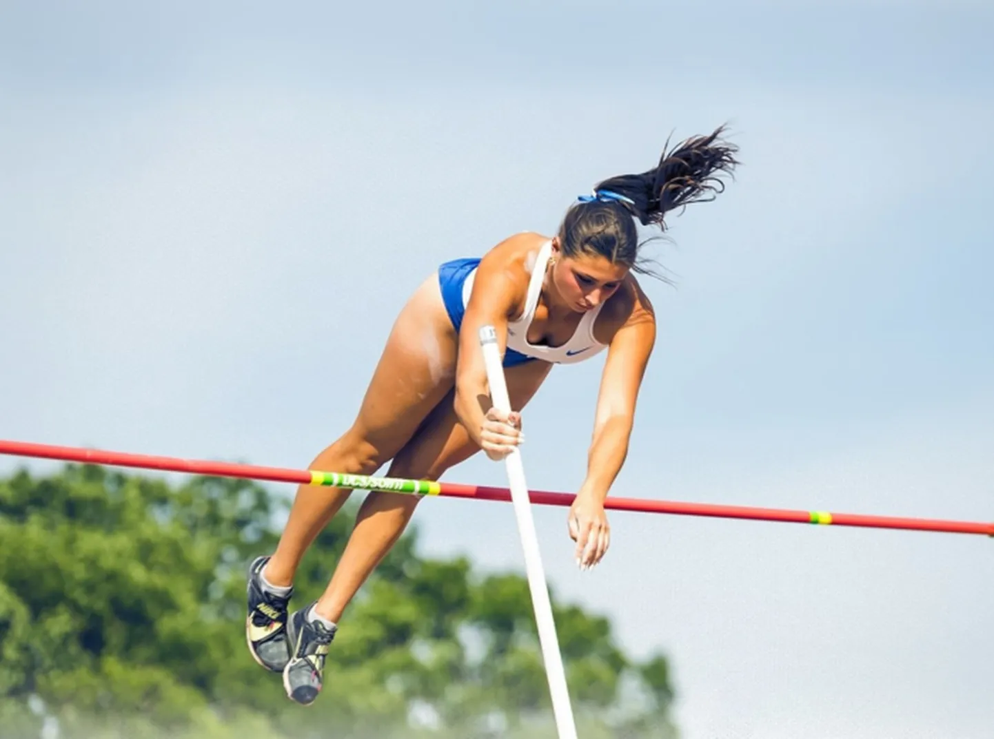 Alisona Diāna Neidere