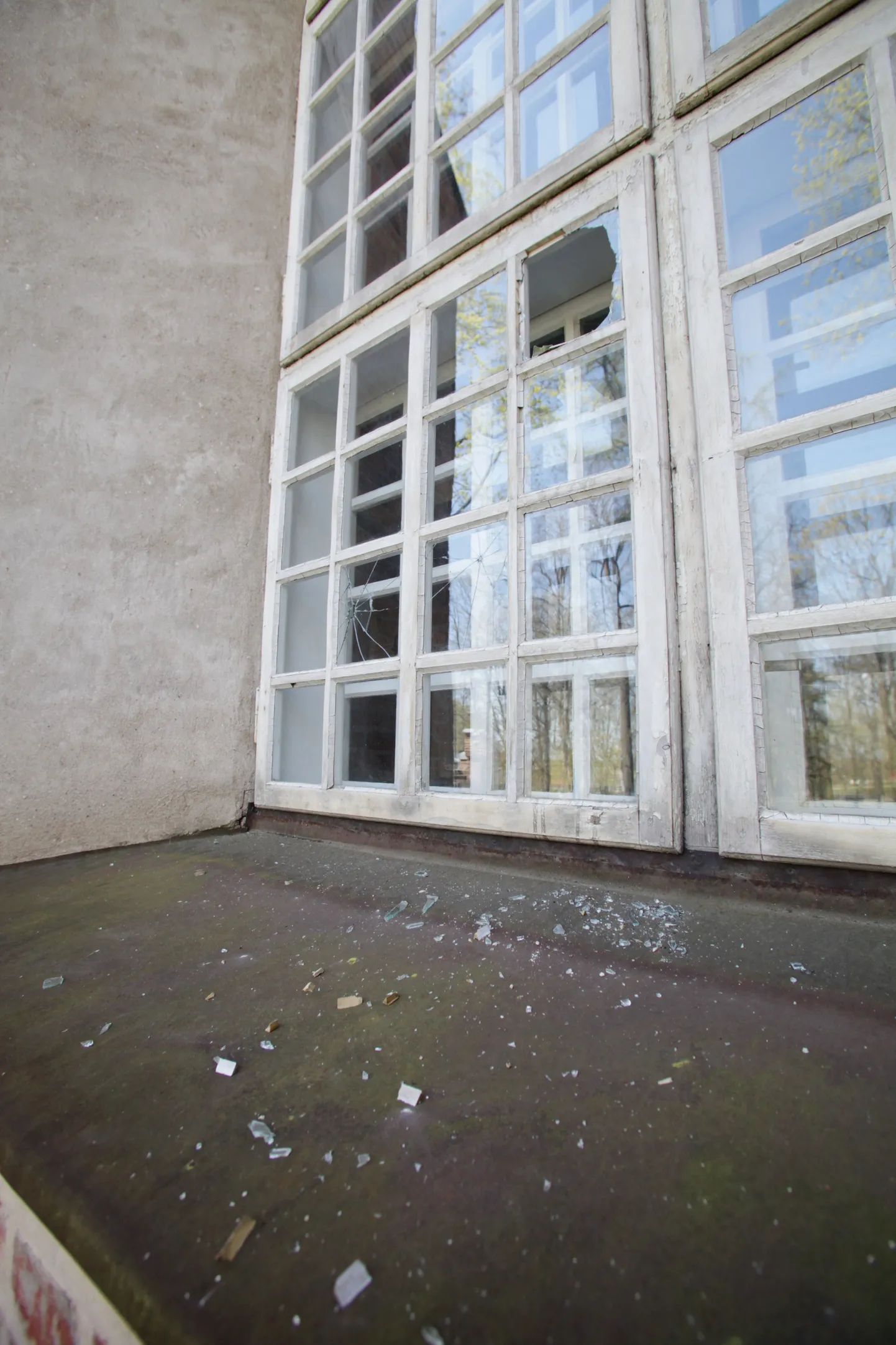 TÜ ajaloo muuseumi aknad on lõhutud.