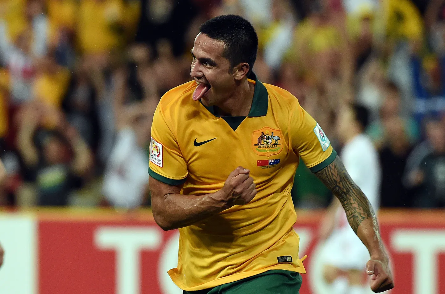 Tim Cahill