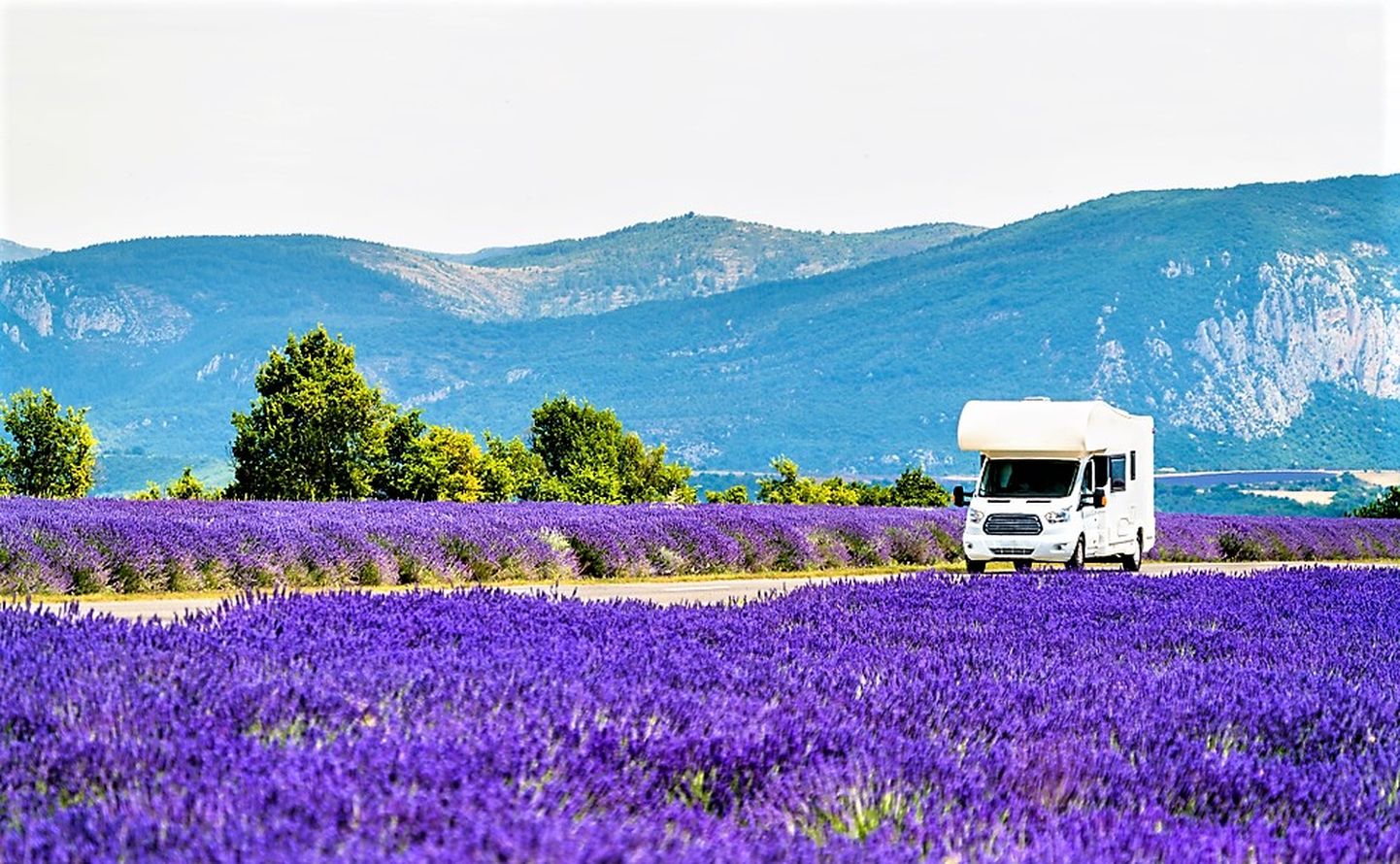 Prantsusmaal lavendlipõldude vahel.
