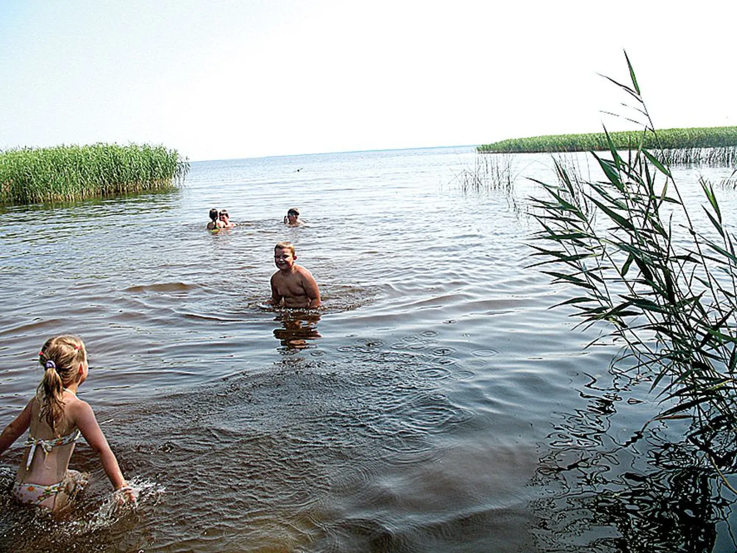 Piirissaarel suvitavad lapsed suplevad Saare külas.