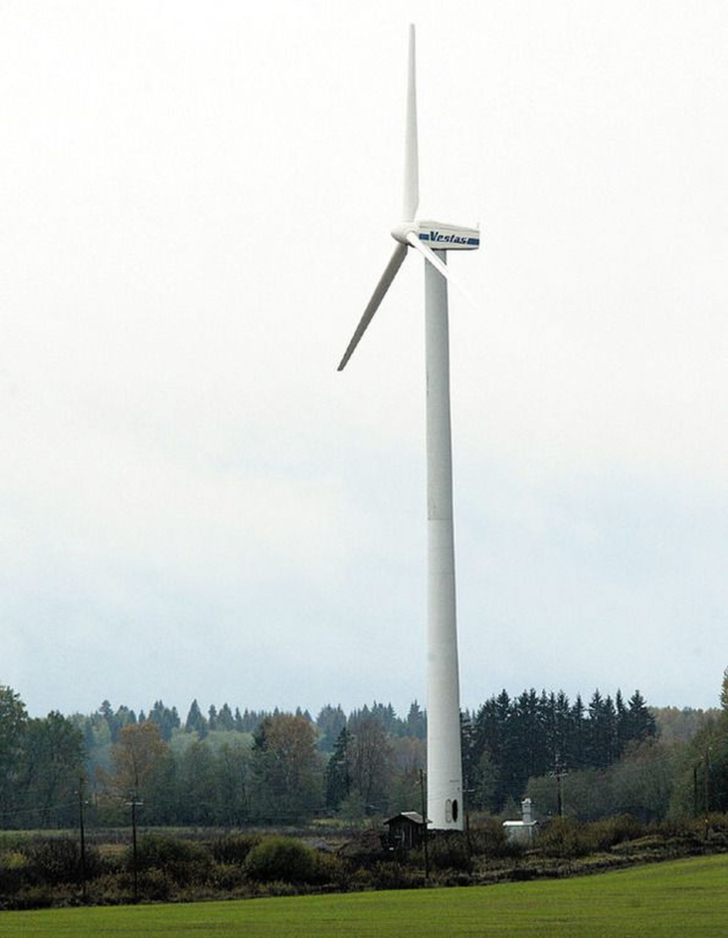 Sangla Turvas püstitas Puhja serva, TartuViljandi maantee lähedale 500-kilovatise tuulegeneraatori: tuuliku mast on 54 meetrit kõrge ja tiiviku laba 17 meetrit pikk.