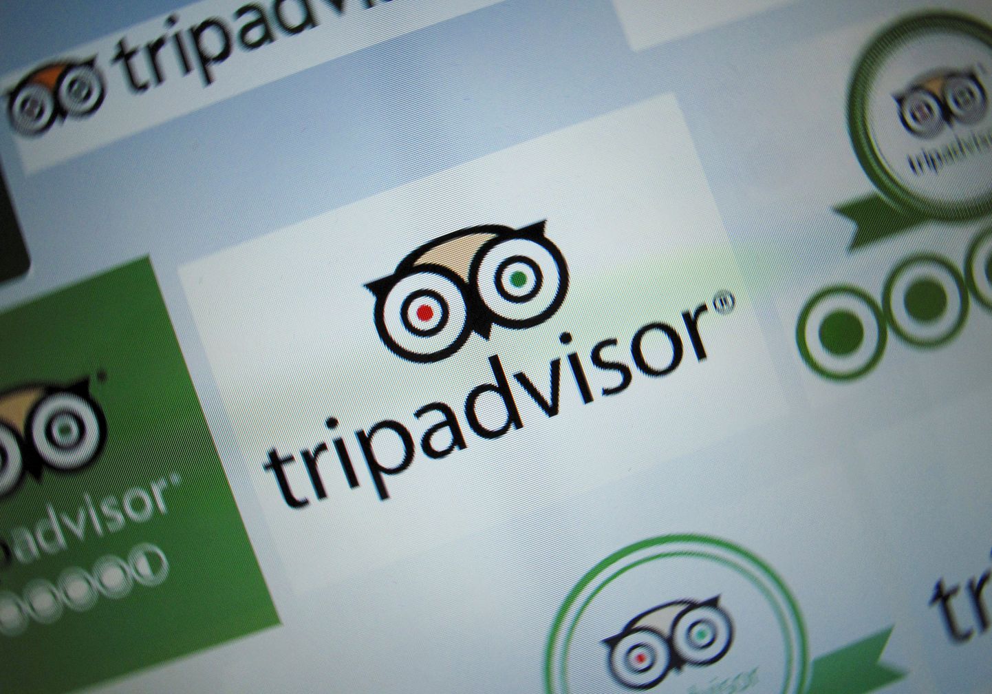 TripAdvisori lehekülje logo