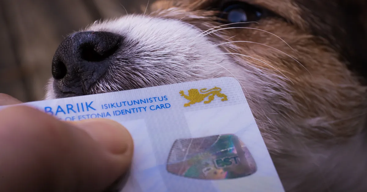 New ID-card fault could have been intentional