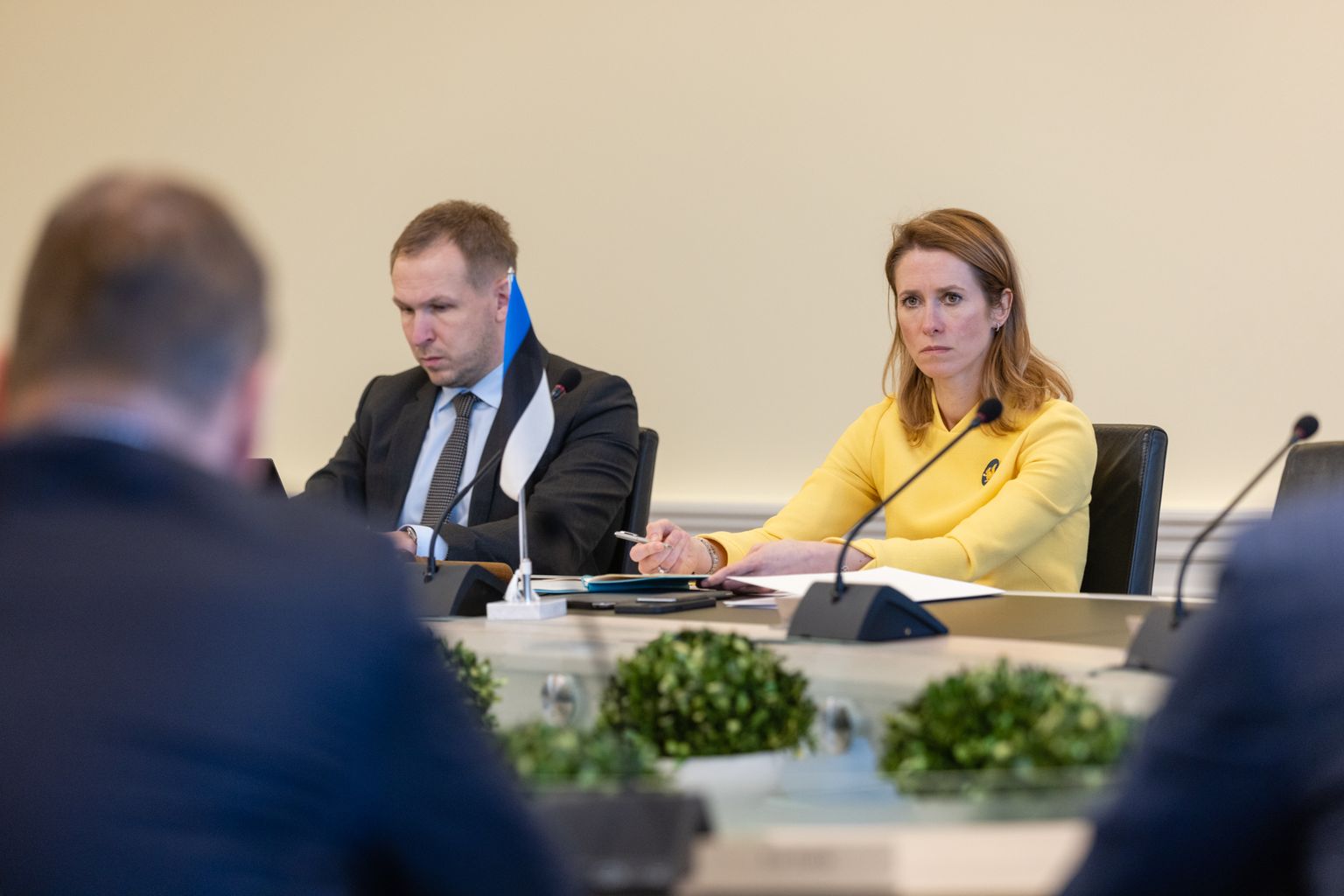 Peaminister Kaja Kallas kohtus elektrimüüjatega.