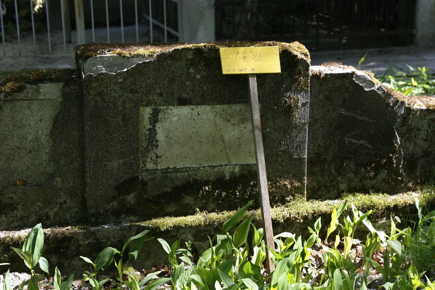 Hooldamata hauaplats Siselinna kalmistul.
