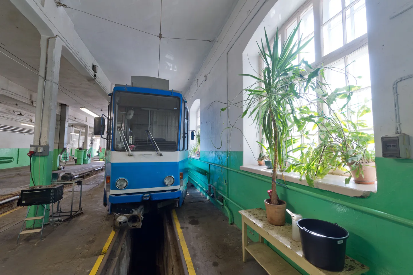 Tramm
