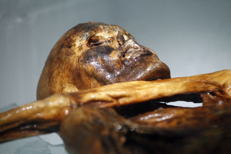 Jäämees Ötzi