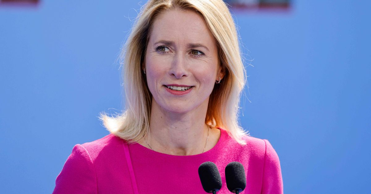 Kaja Kallas: Vene kodanike valimisõigust ei saa peatada põhiseadust muutmata (16)