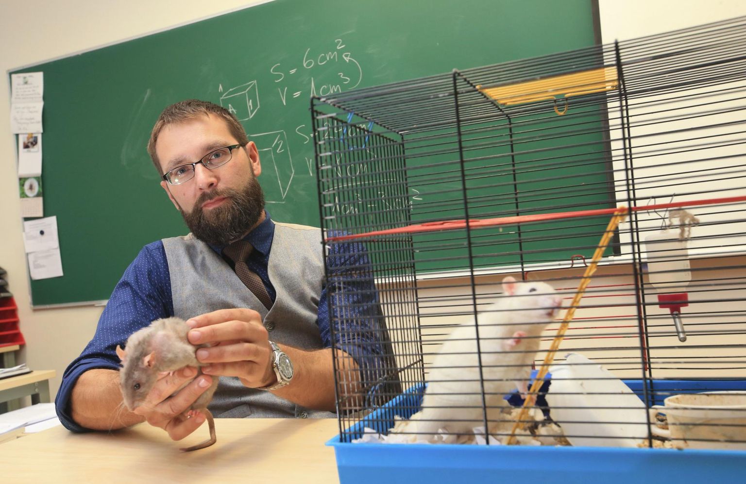 Aasta gümnaasiumiõpetaja laureaadil Lauri Mällol on klassis nii kalad kui ka rotid.
