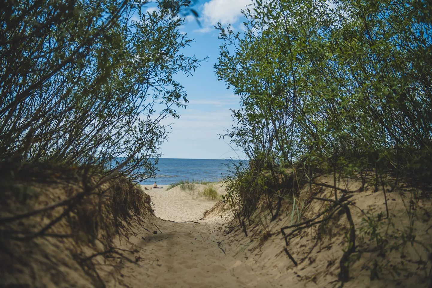В природном парке Рагакапа