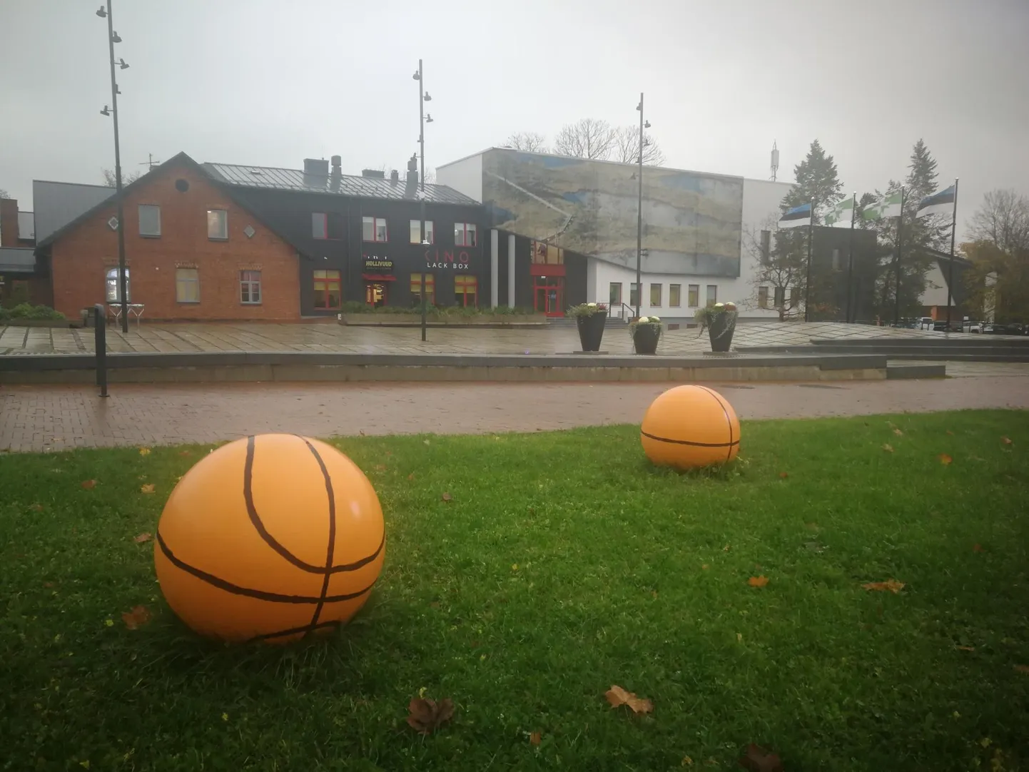 Kui siseneda Raplasse ükskõik mis suunalt, torkavad muruplatsidel ringteedel silma oranžid korvpallid, tehtud täisbetoonist.