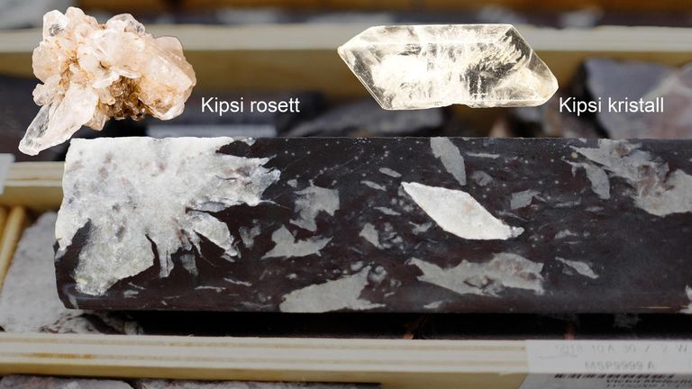 Pseudomorfoos. Üleval kipsi rosett ja kipsi kristall. All puursüdamik, milles kipsikujulised kristallid, mis sisaldavad kvartsi ja kaltsiiti.