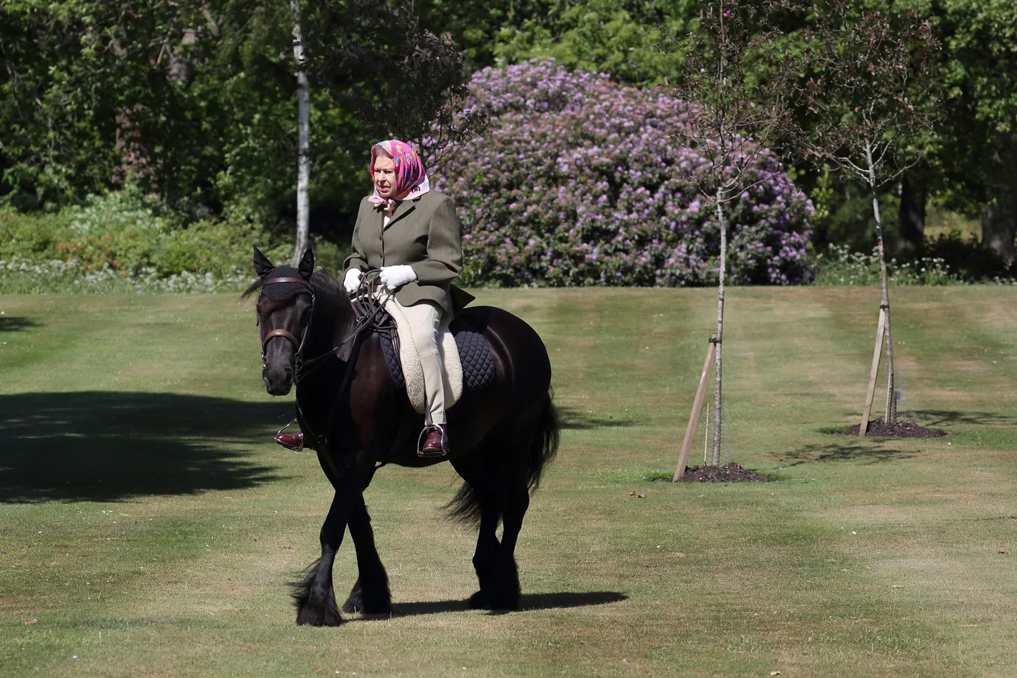 Elizabeth II pääses taas ratsutama. Pildil on ta 14-aastase felli poni Balmoral Ferni seljas