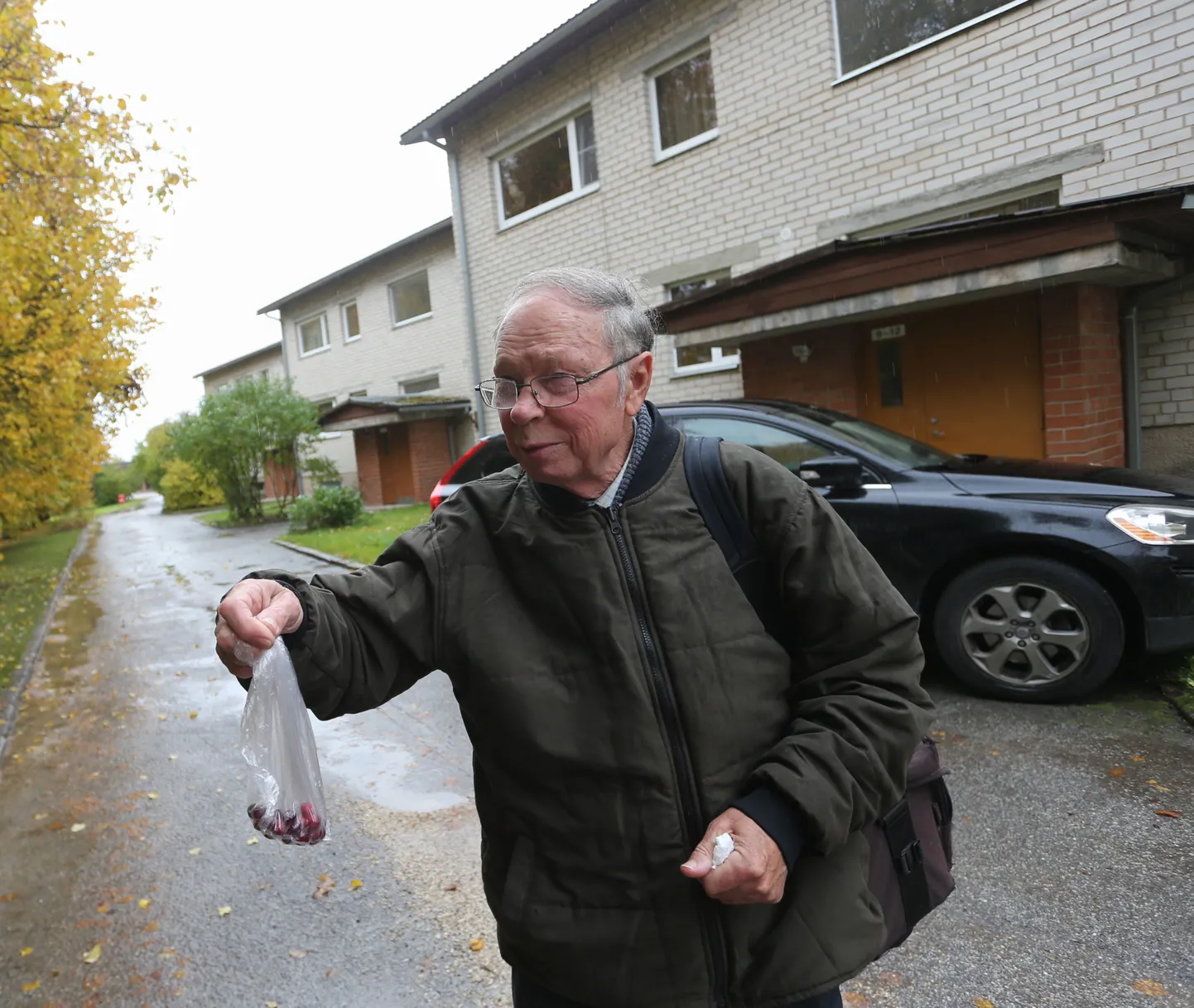 Tõrvandis Papli 15 majas elav Kalju Tisler kurdab, et peab talviste suurte küttearvete hirmus rabas jõhvikal käima ja marjade müügiga raha koguma. Jõhvikaid pakkus ta ka ajakirjanikule.