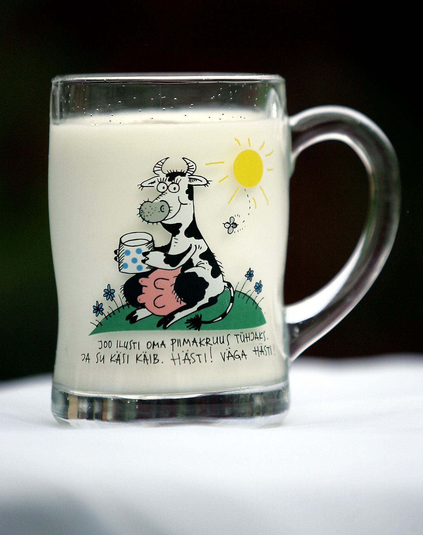 Joogipiimaks läheb vaid 13% Eestis töödeldud piimast.