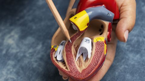 SÜDA OHUS ⟩ Haiged neerud saadavad vereringesse salajasi mürgisignaale