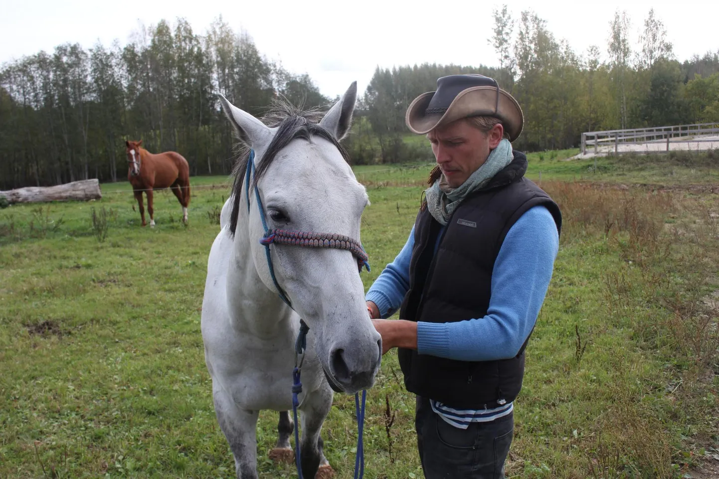 Slovakkias noorhobuste MM-il jalavigastuse saanud Luukas on nüüd peremehe kinnitusel terve ja valmis uuteks katsumusteks. Siim Saavik