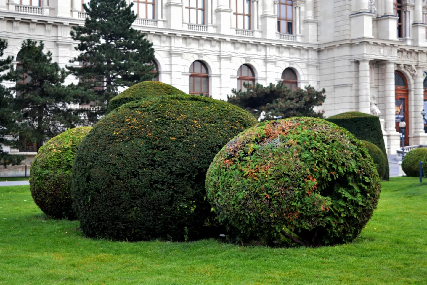 Viini loodusajaloo muuseumi aed.