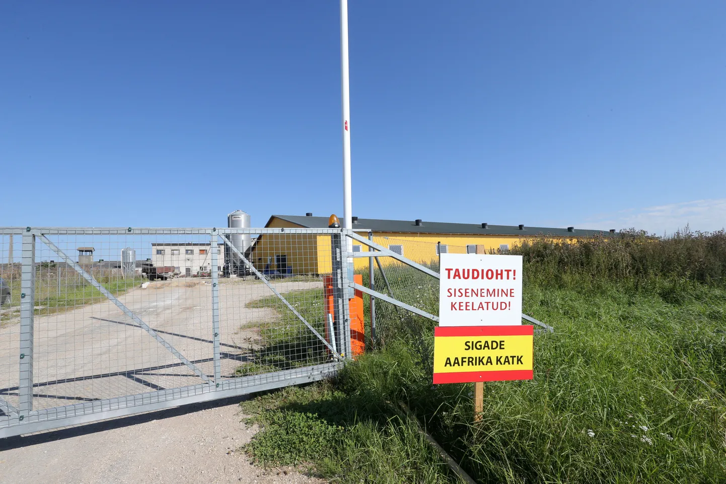Tänavugi on tulnud seakasvatajatel välja panna silte, mis annavad teada katkukoldest.