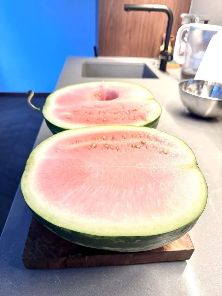 Artikli foto