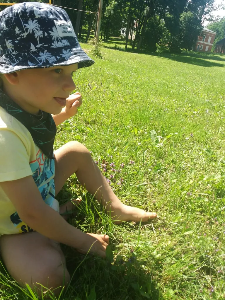 Raksta foto