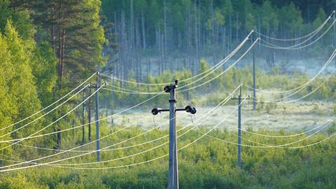 Võhu külas kukkus maha elektriliin ja süttis maapind