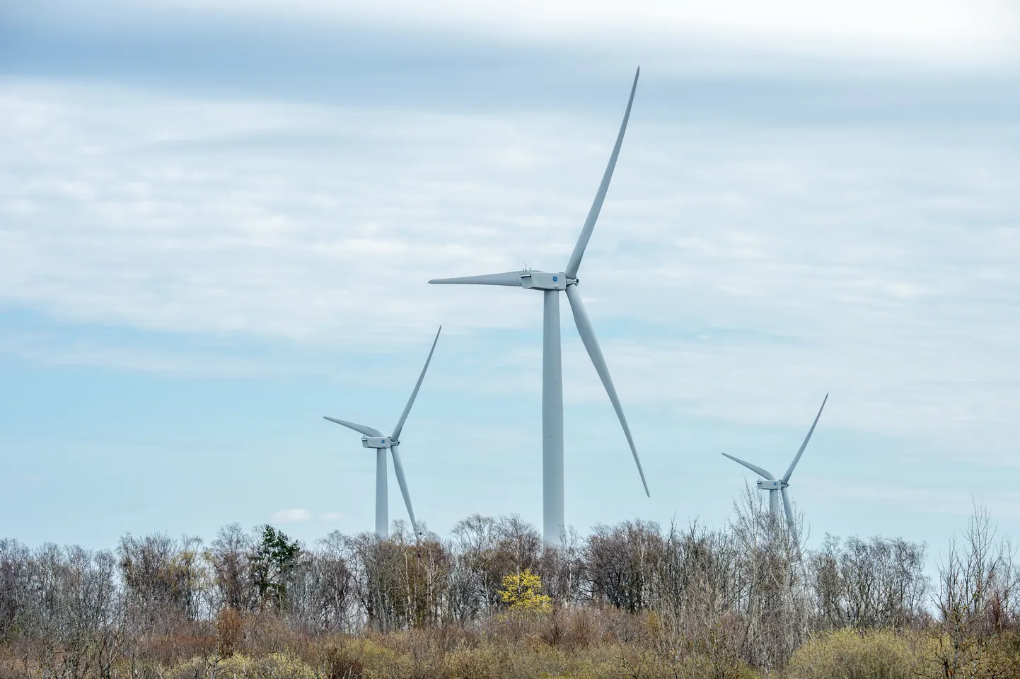 Kogu tootmiseks vajalik elektrienergia on kavas saada Eesti Energia Pakri poolsaare roheenergia tootmisvõimsustest