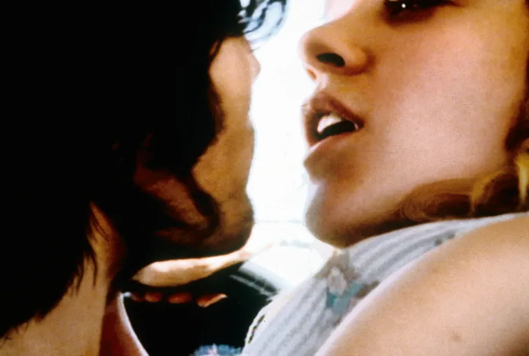 Gallo ja Sevingy filmis «The brown bunny».