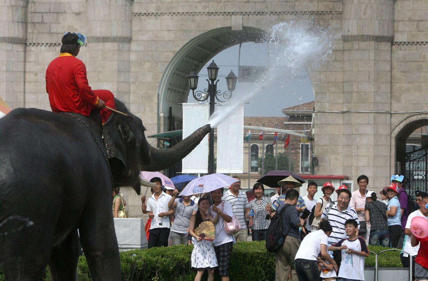 Hiinas pidas elevant pargikülastajatega veesõda