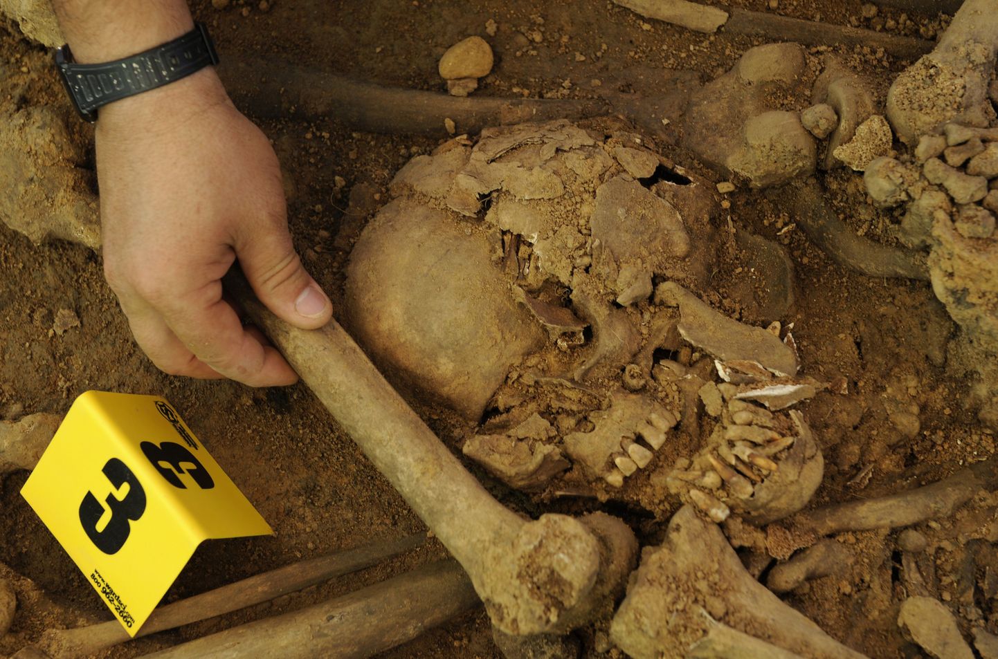 Hebriididelt leiti 3000 aasta vanused skeletid