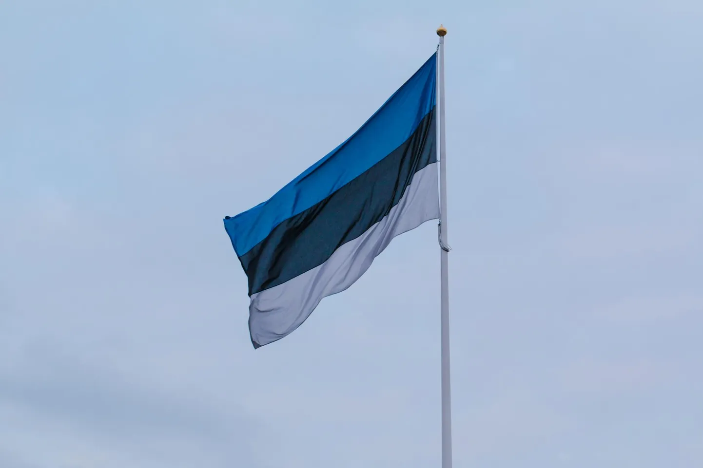 Eesti lipp