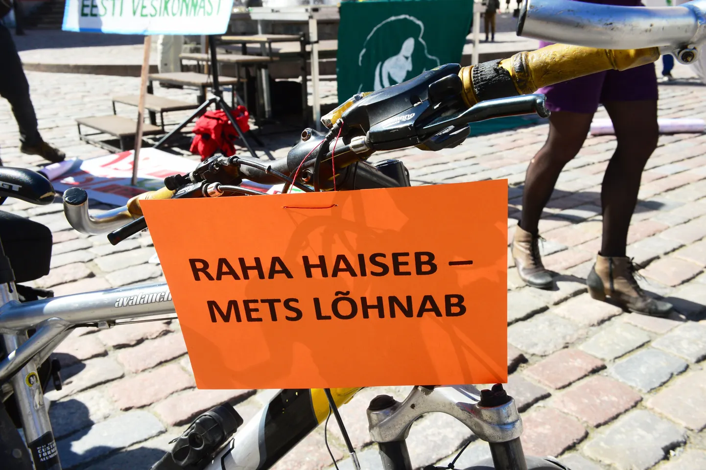 Eesti Metsa Abiks korraldas mullu meeleavalduse Emajõe vesikonda planeeritava tselluloositehase vastu.