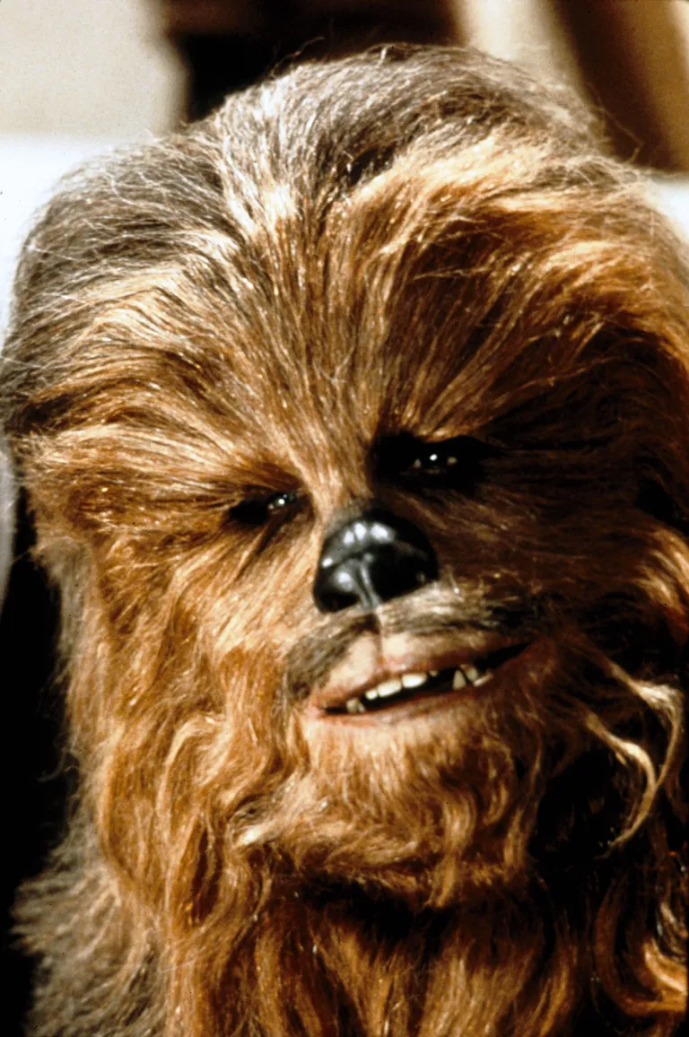 «Tähesõjad: osa V - Impeeriumi vastulöök». Pildil Peter Mayhew Chewbaccana