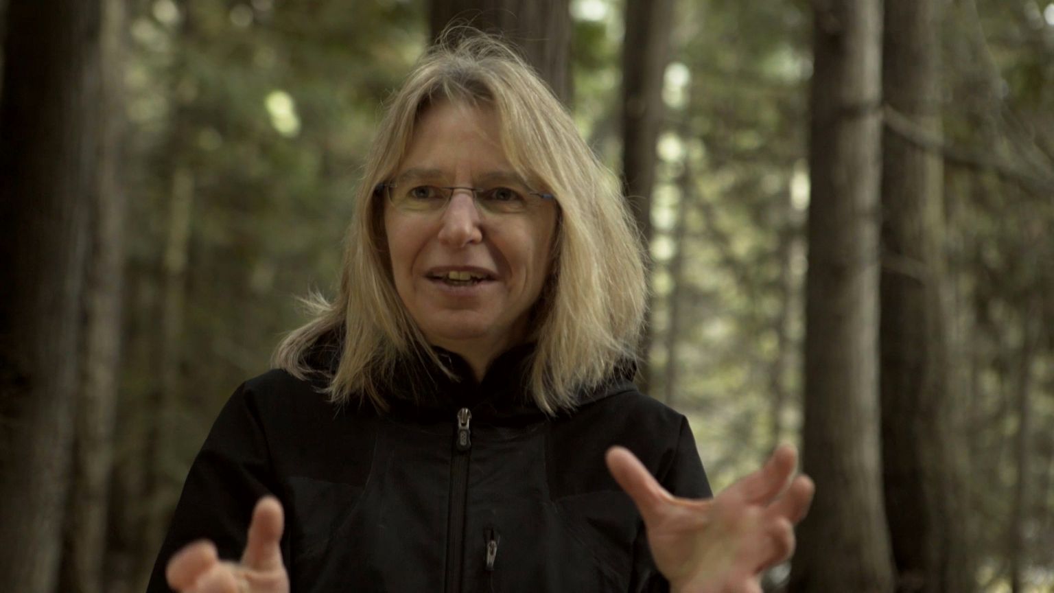Suzanne Simard.