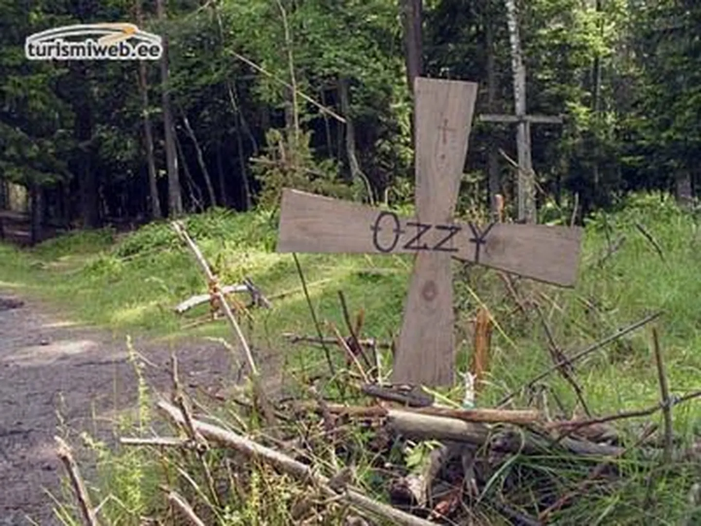 Ristimägi Hiiumaal, kust kunagi alustasid oma teekonda Ukrainasse rannarootslased.