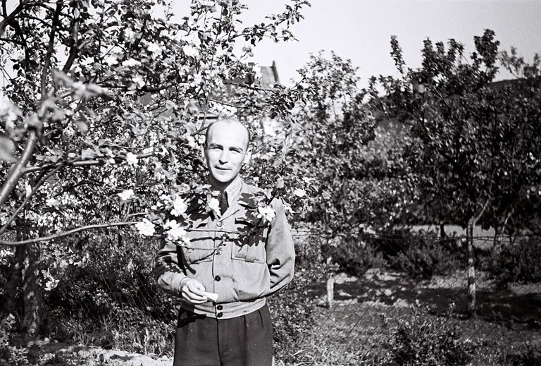 Artikli foto
