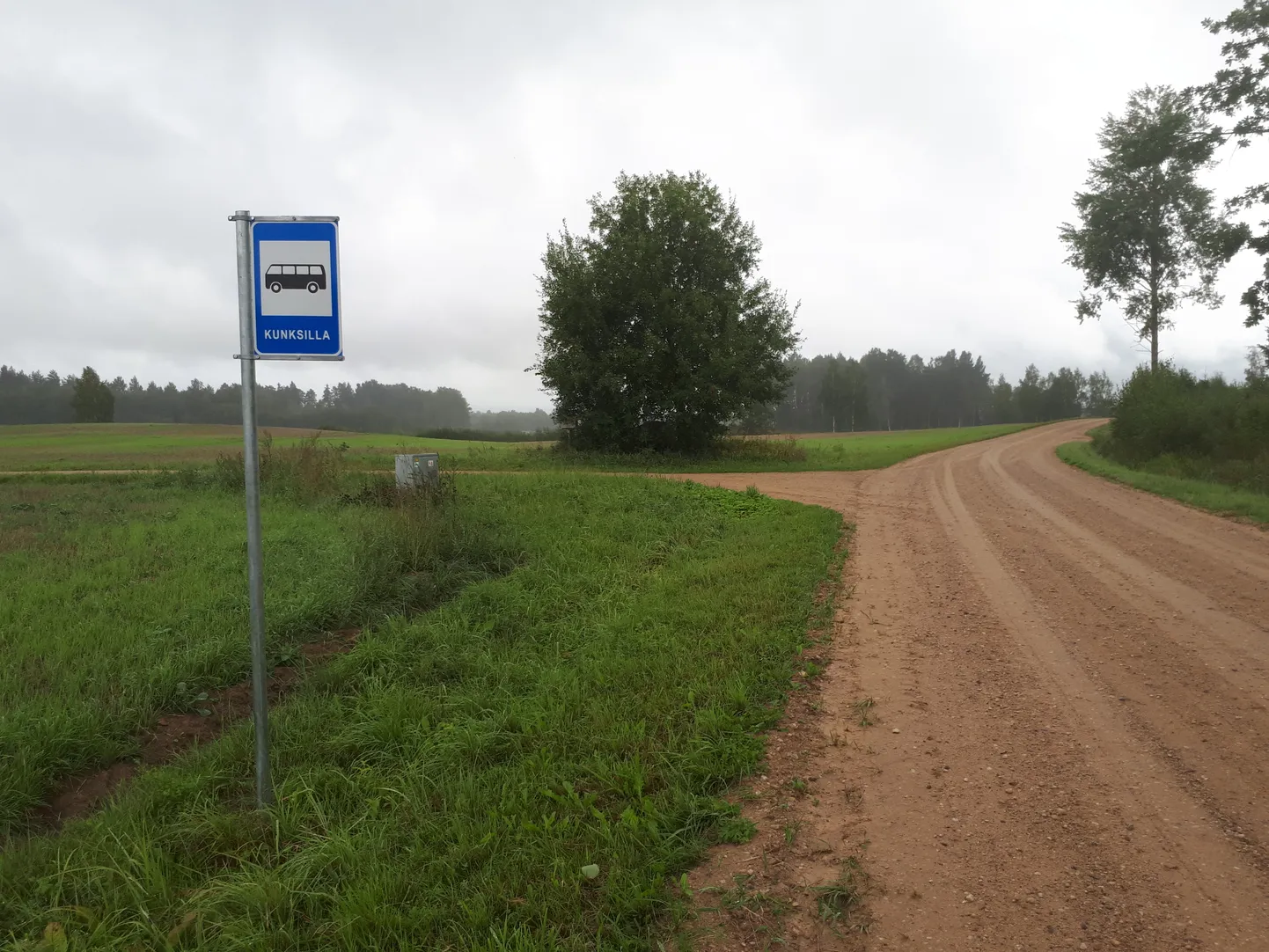 Kunksilla bussipeatusest saab sõita hommikul Veriorani, kus asub kohalik kool.