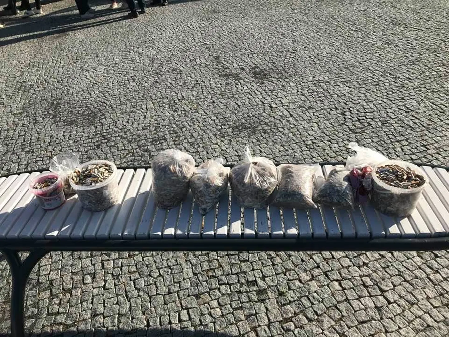 Võru linnapea Anti Allas postitas eile sotsiaalmeedias foto, millel näha nädala jooksul Võru linn parklatest, haljasaladelt ja tänavatelt kokku kogutud konid: ligikaudu 5,3 kilogrammi ehk 8300 koni.