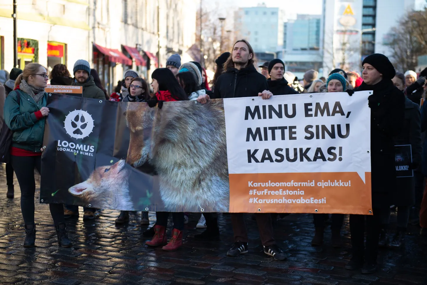 Rongkäik algab 11. jaanuaril kell 12 Viru väravate juures.