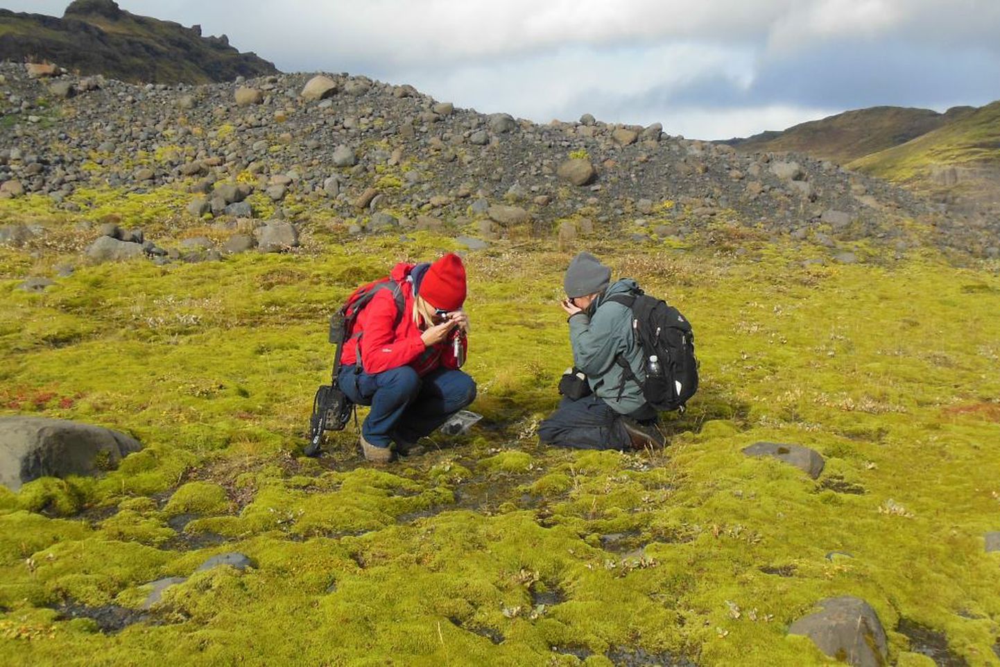 Teadlased Iirimaal kunagise laavavälja peale kasvanud samblaid uurimas. Paremal ka uuringu kaasautor Sylvia Pressel.